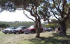 Talisker Picnic 2006